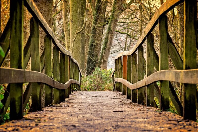 bridge-3024773_1280