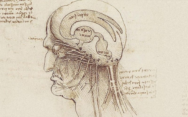 arte_ciencia_felipe6