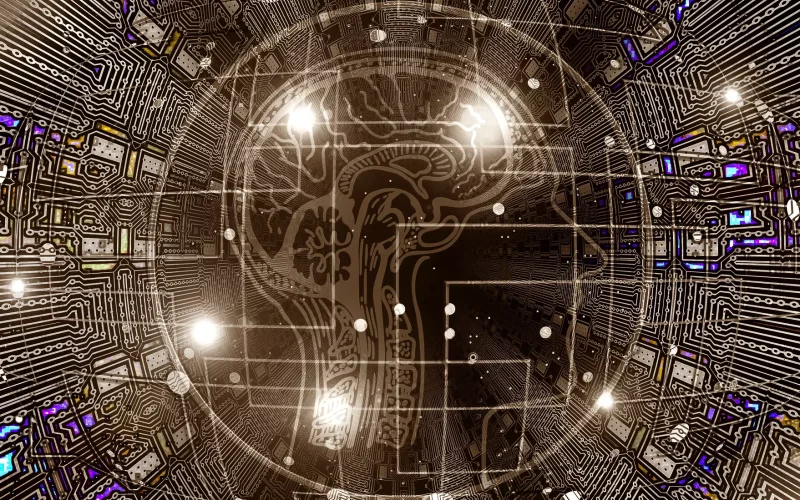 brain-neuroscience