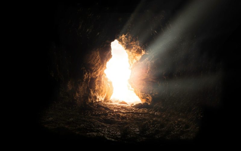 bruno-van-der-kraan-v2HgNzRDfII-unsplash